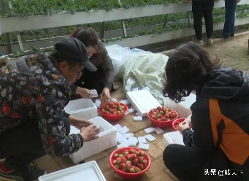 沿滩党员干部奋战一线抗疫保春耕,抗疫与春耕生产党员大会