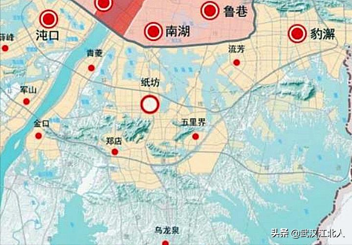 武汉蔡甸区发展前景,武汉四大发展