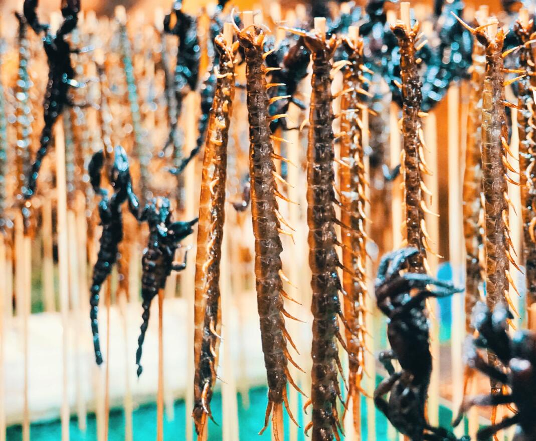 云南打卡景点推荐,云南大理网红打卡地