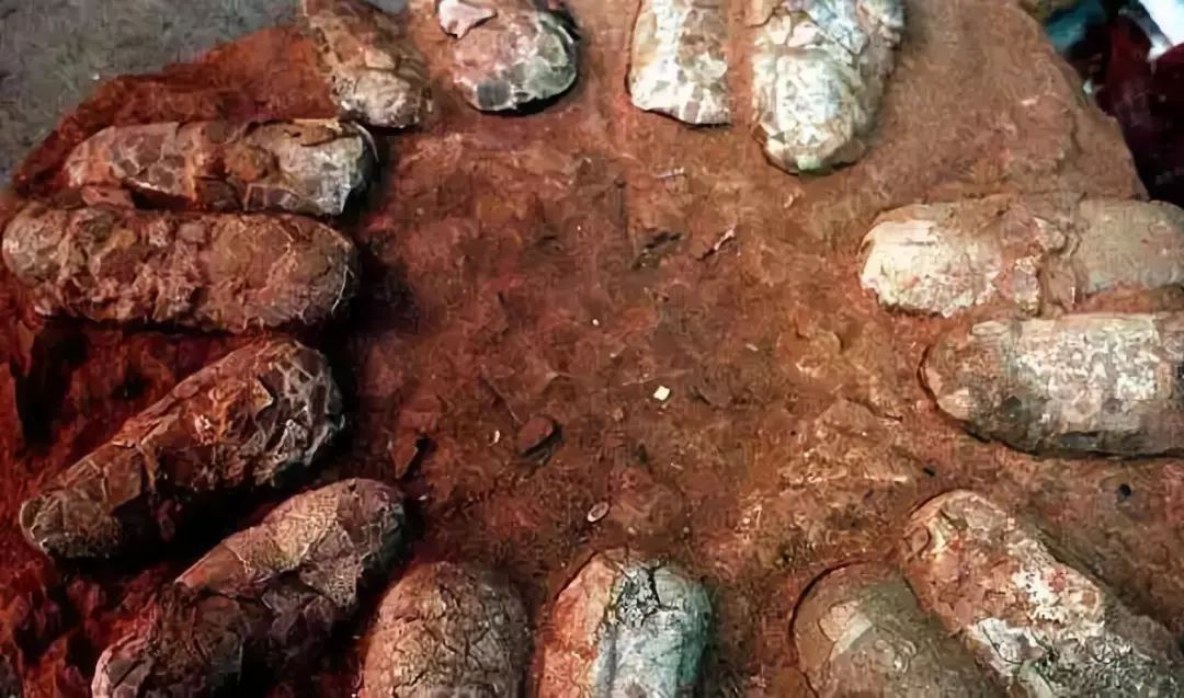 广东一个神奇的省份,中国最独特的省份广东