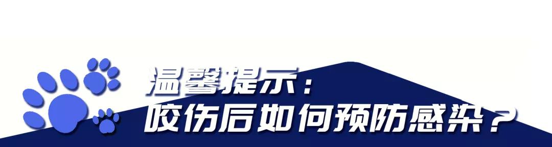 你家狗狗打了狂犬病疫苗了吗,狗狗防疫站打针免费吗