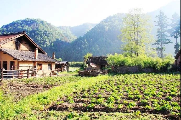 唐诗中的山水田园诗句,唐诗宋词中的田园生活