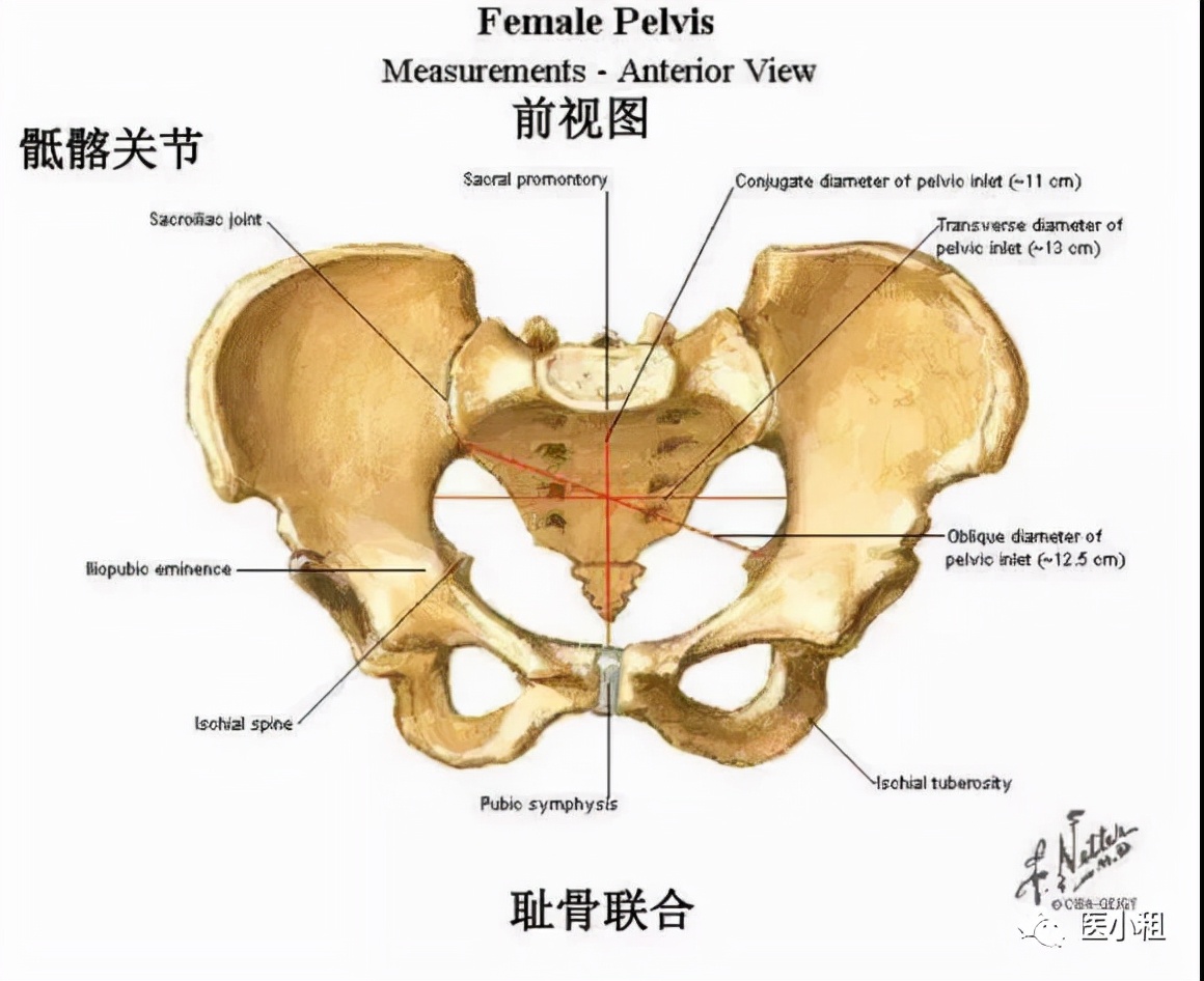 盆骨修复别被骗了,盆底肌修复被坑退费