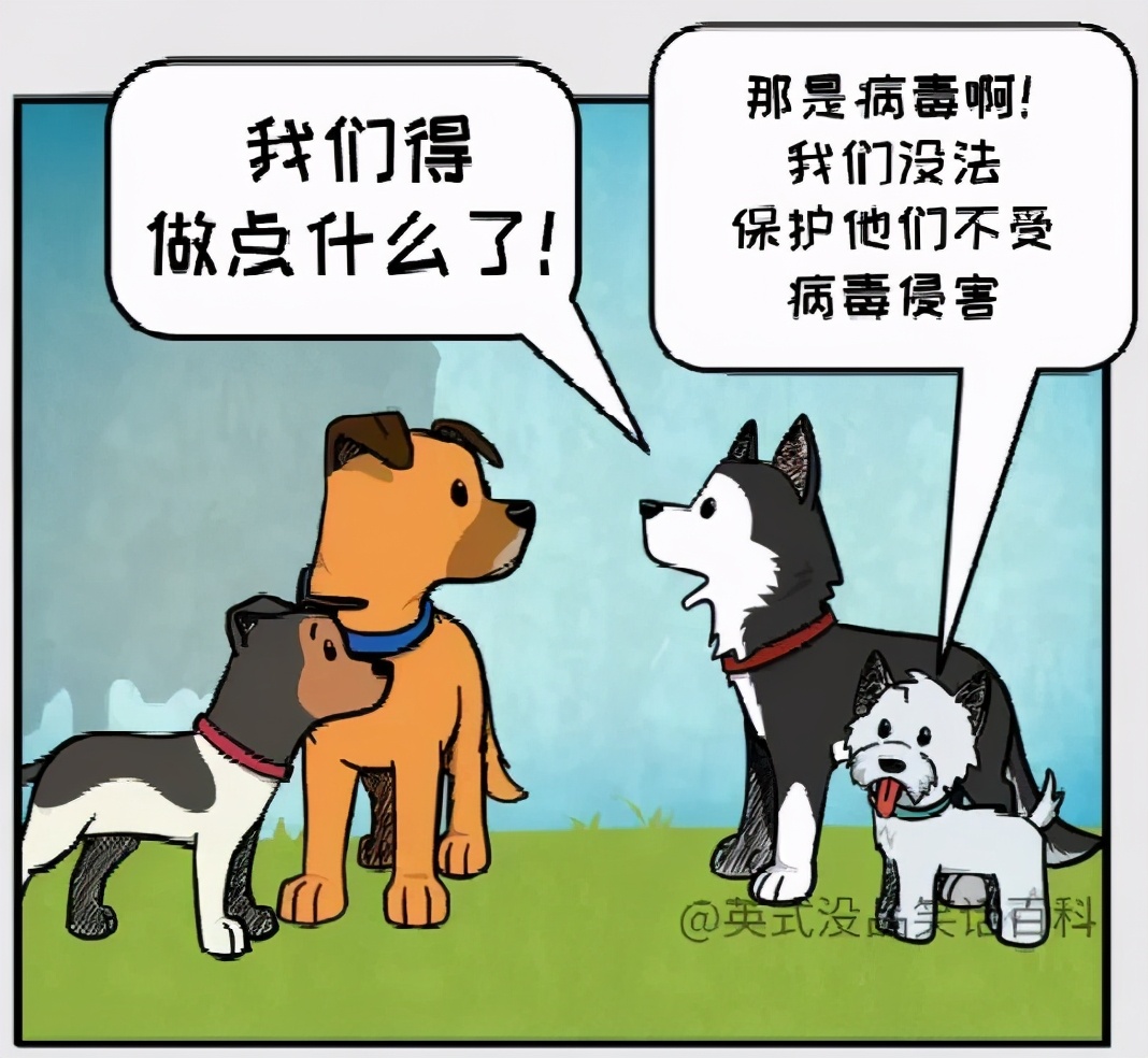 猫和铲屎官漫画全集,铲屎官和狗子的漫画