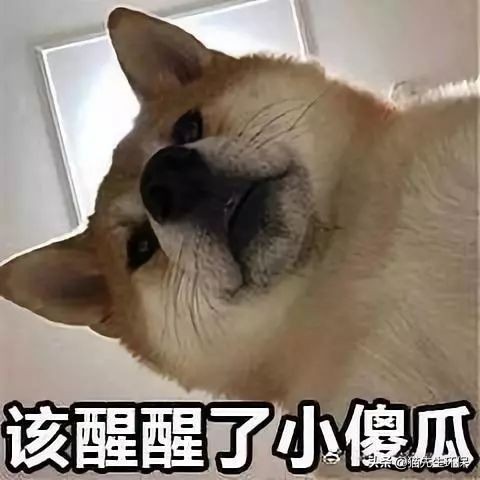 你是什么垃圾？又酸又南的2019年度热词，雨你有瓜