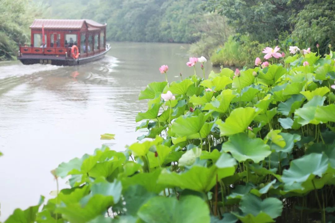 三月赏花一日游上海景点,本月上海赏花一日游最佳去处
