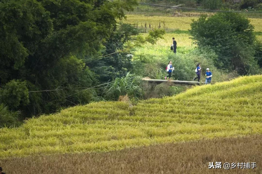 南粤古驿道拍摄后记,2018南粤古驿道展示