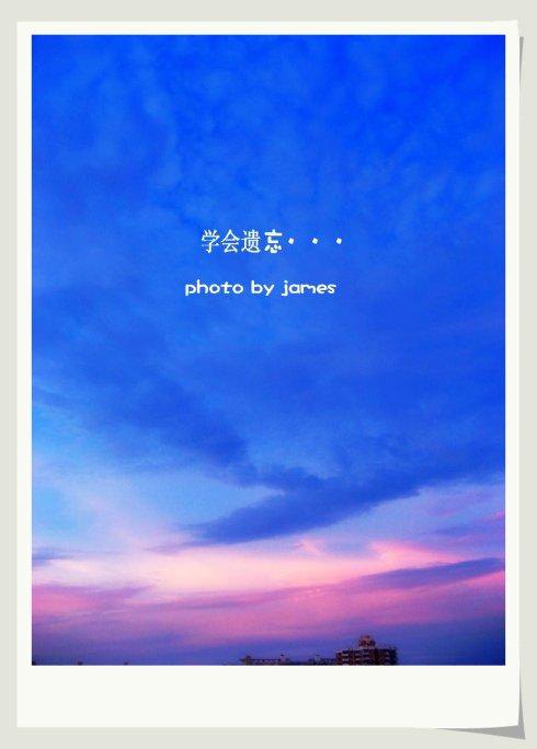 方舟生存进化遗忘之都,盛开在遗忘之都