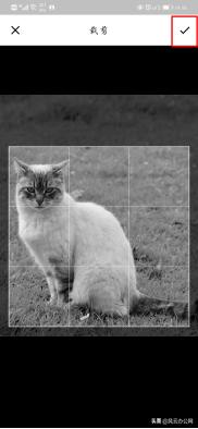 手机图片裁剪软件,在手机上怎么裁剪图片