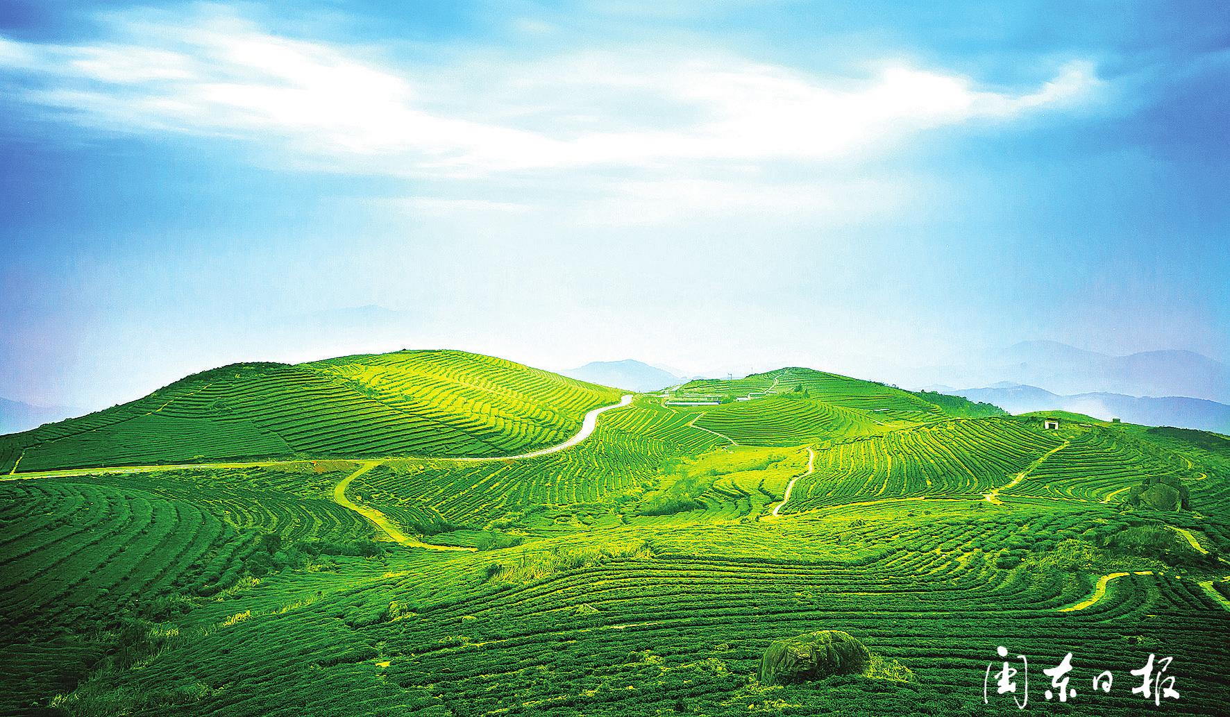 宁德：多彩振兴路跃动山海间