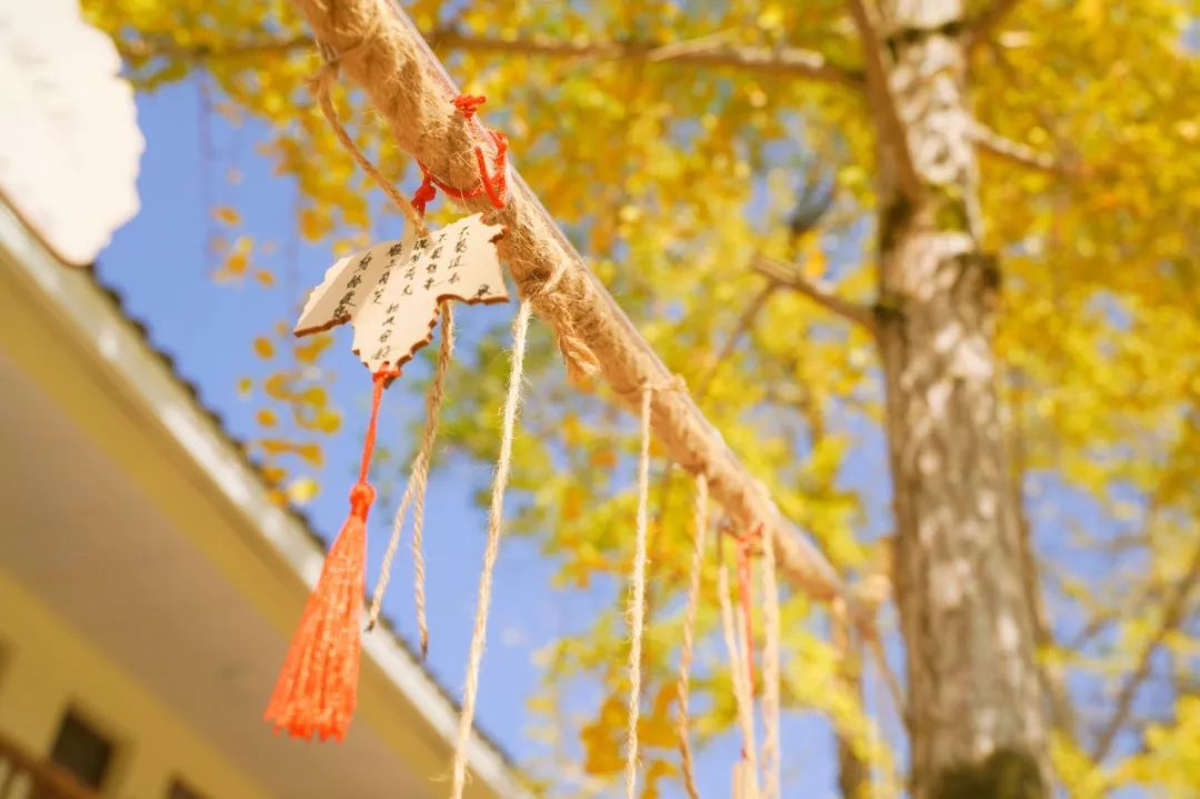 这才是国内最美的地方,这才是中国34省最该去的地方