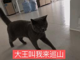 iphone怎么给隐藏相册上锁,iphone相册隐藏功能大全集