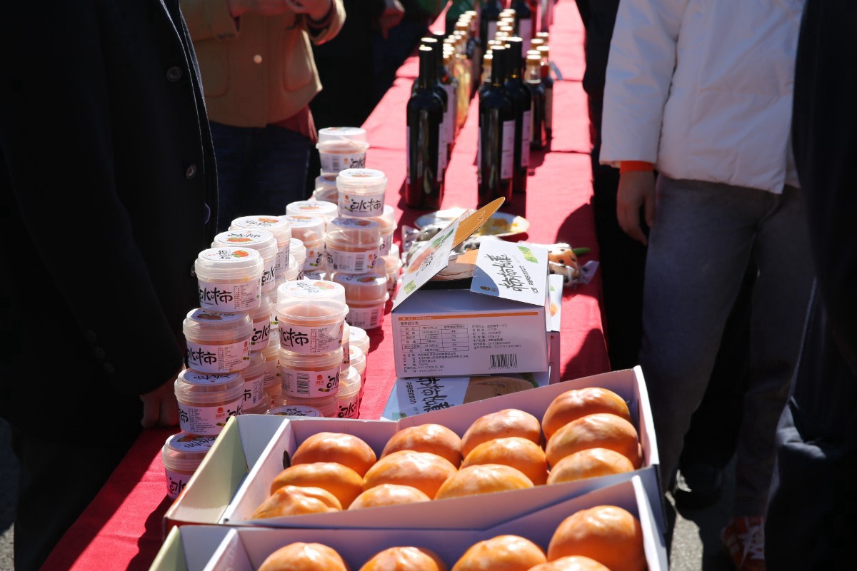 北京磨盘柿子采摘季节,磨盘柿子最佳采摘期