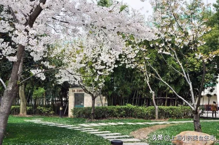 顾村公园一年一度赏樱,顾村公园赏樱点