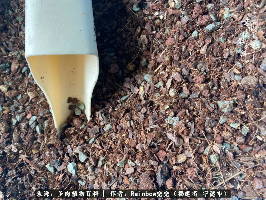 岁月无波澜余生不悲欢是啥意思,愿你岁月无波澜敬我余生无悲欢