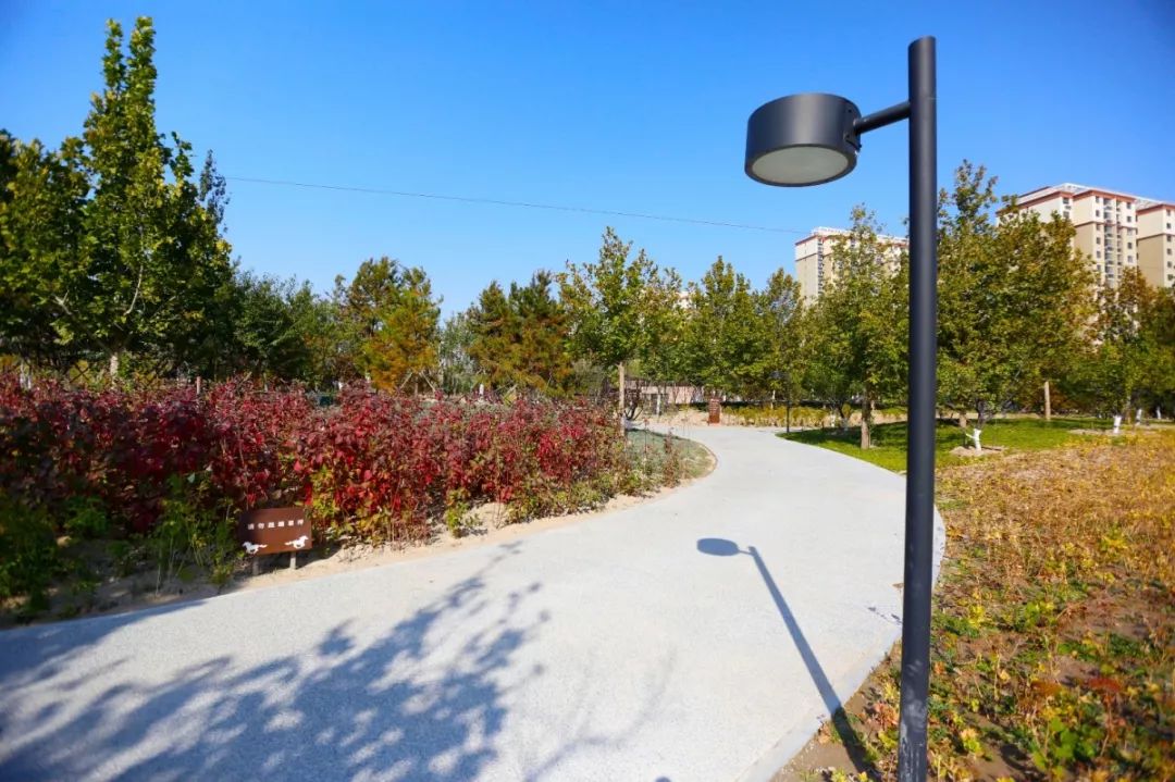 海淀新公园,西三旗公园