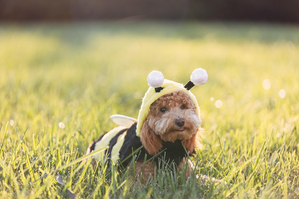 涓浗鍗佸ぇ鍚嶇姮,鑻卞浗鍚嶇姮鎺掕