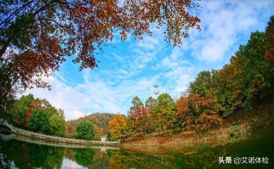 合肥景区免费景点,合肥旅游景点大全免费玩