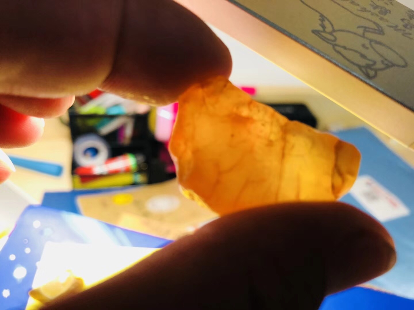 钓鱼钓到意外之物,游钓俄罗斯远东