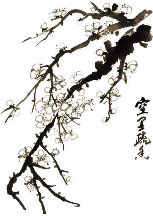 零基础梅花花朵入门画法,零基础学国画梅花入门步骤