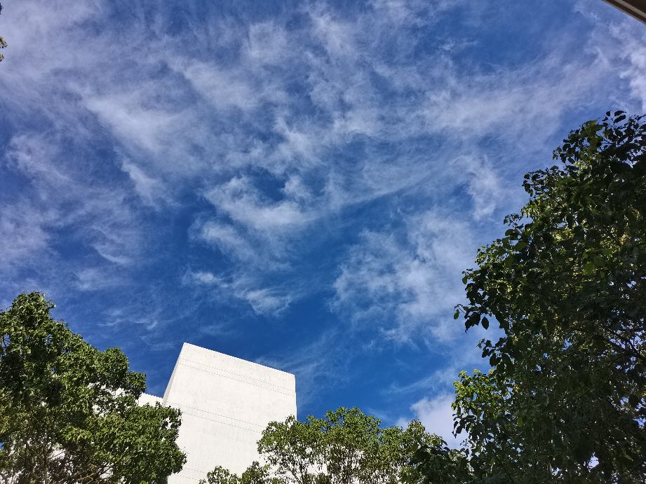 魔都上海?打工人的噩梦,欲望之城