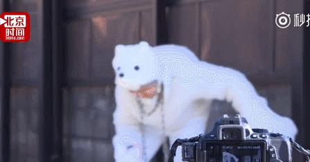 82岁夜店女DJ、90岁自拍女网红：好的人生，从不设限