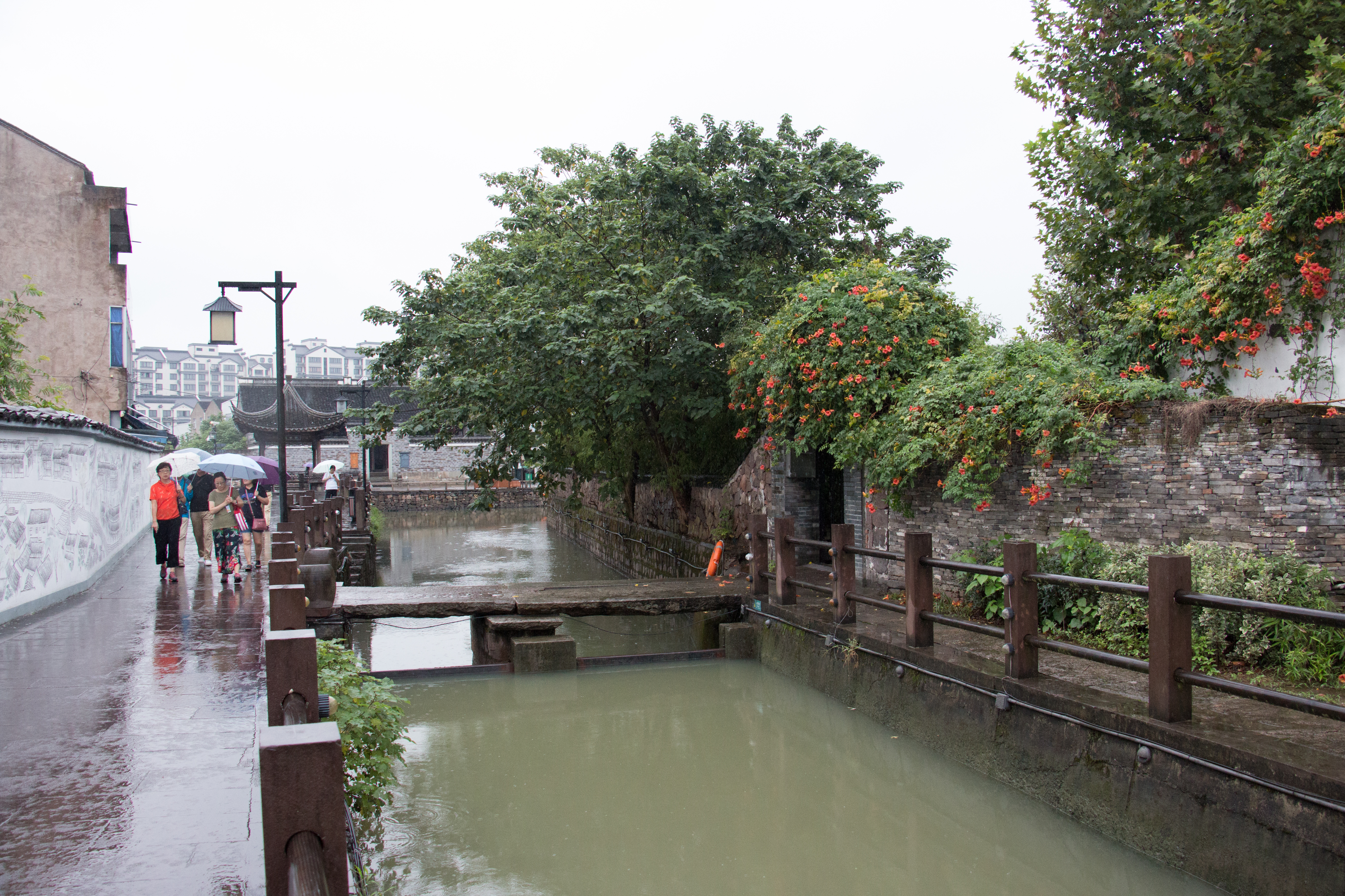 鹤皋古镇,鸣鹤古镇绕湖路