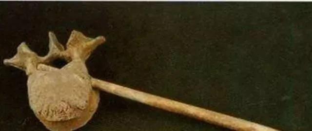 考古发现7300年前的双性人，族人因为恐惧将其杀死，*体下**刺入锐器