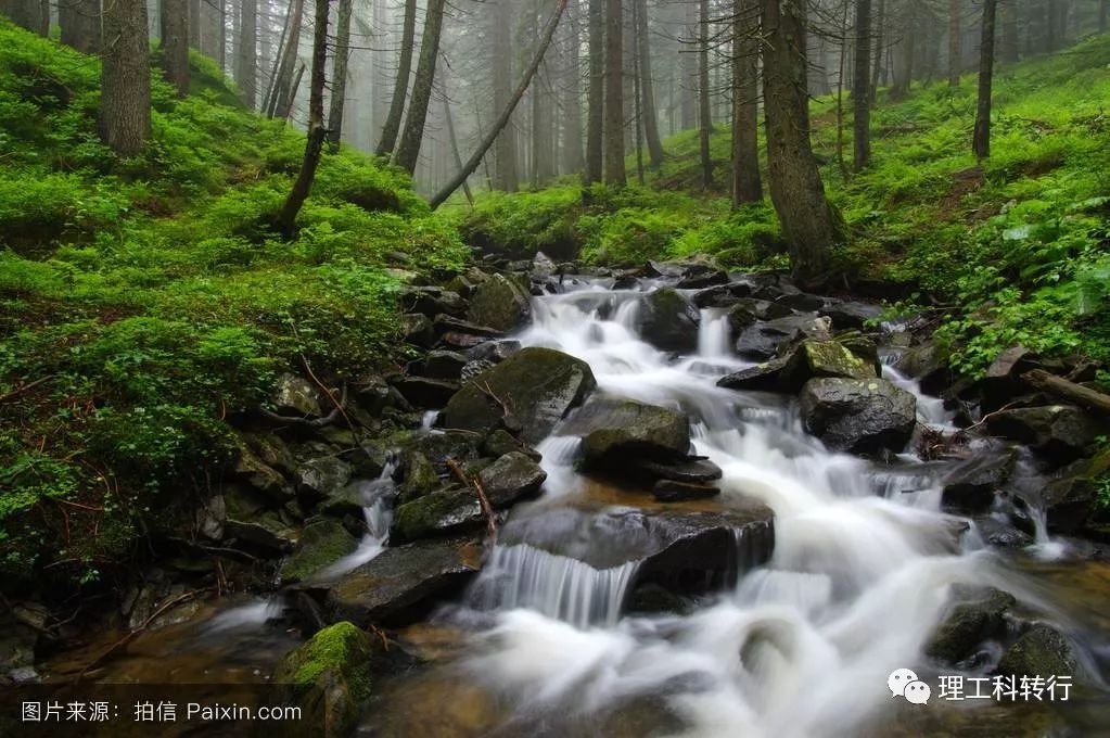 化学类专业就业前景张雪峰,化学制药专业就业前景