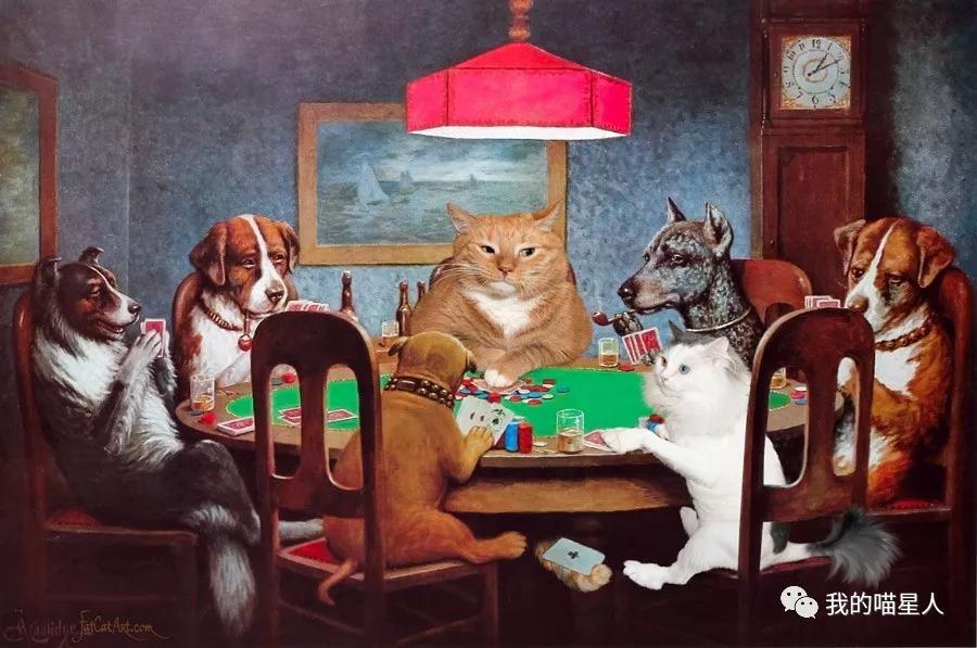 胖橘猫画作,一位画家把自己的猫画成卡通人物