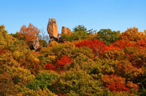 2020抚顺踏青哪里好,抚顺四月赏花推荐去哪