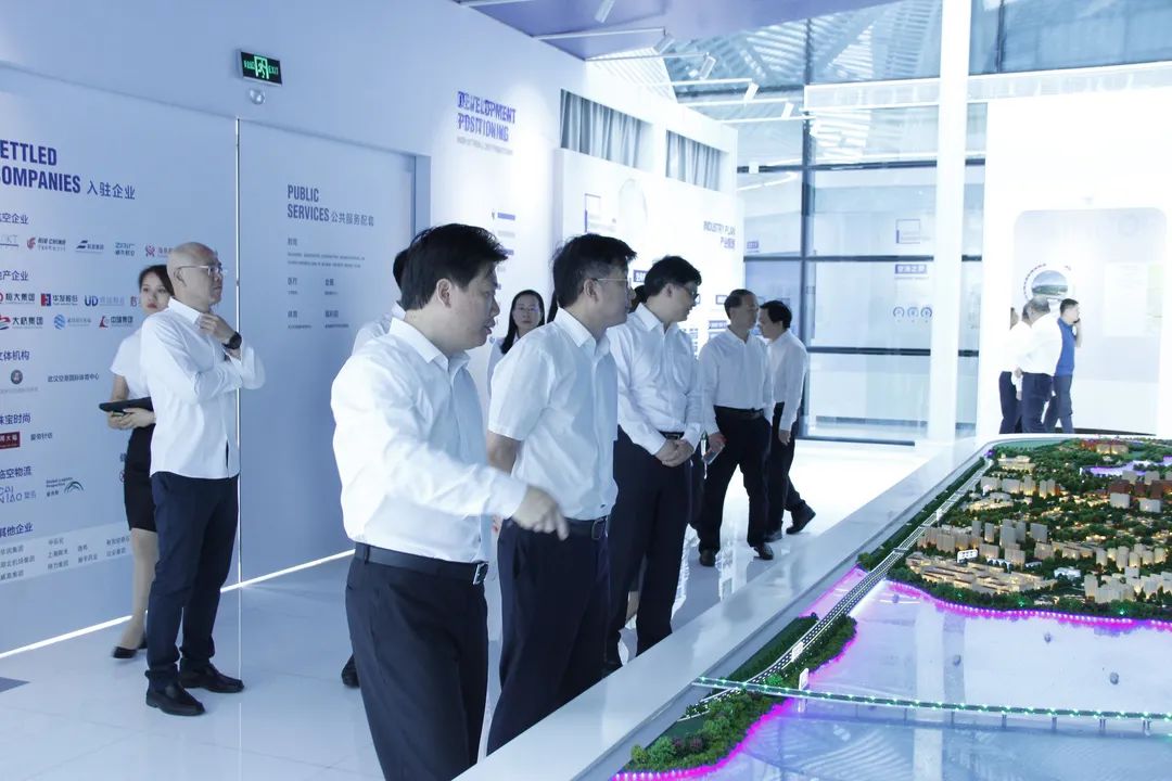 武汉空港新城项目,武汉空港新城综合环境设施工程