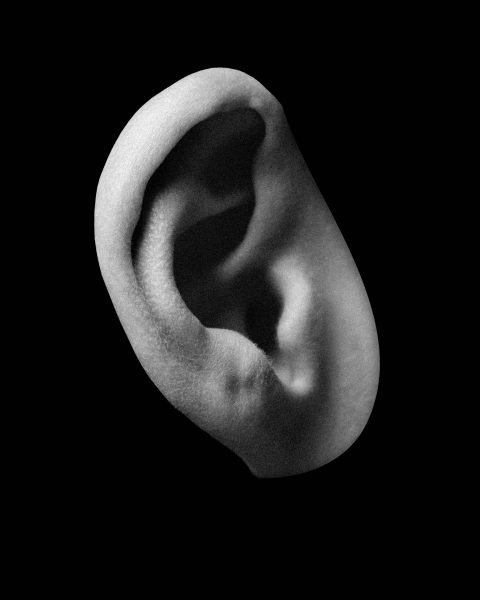 布里斯托尔城足球,布里斯托尔城足球俱乐部logo