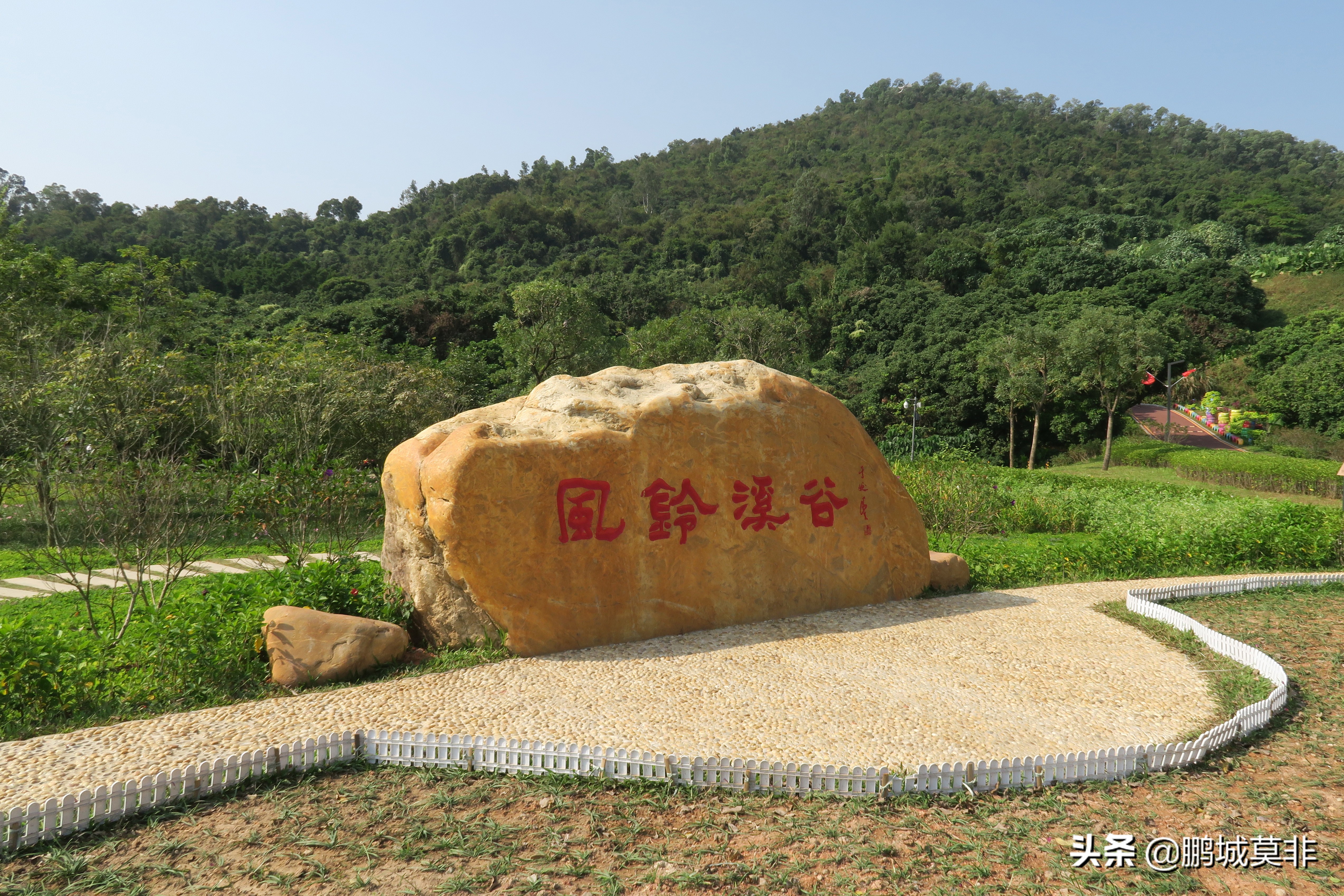 打卡深圳淘金山绿道,网红打卡地深圳流花山公园