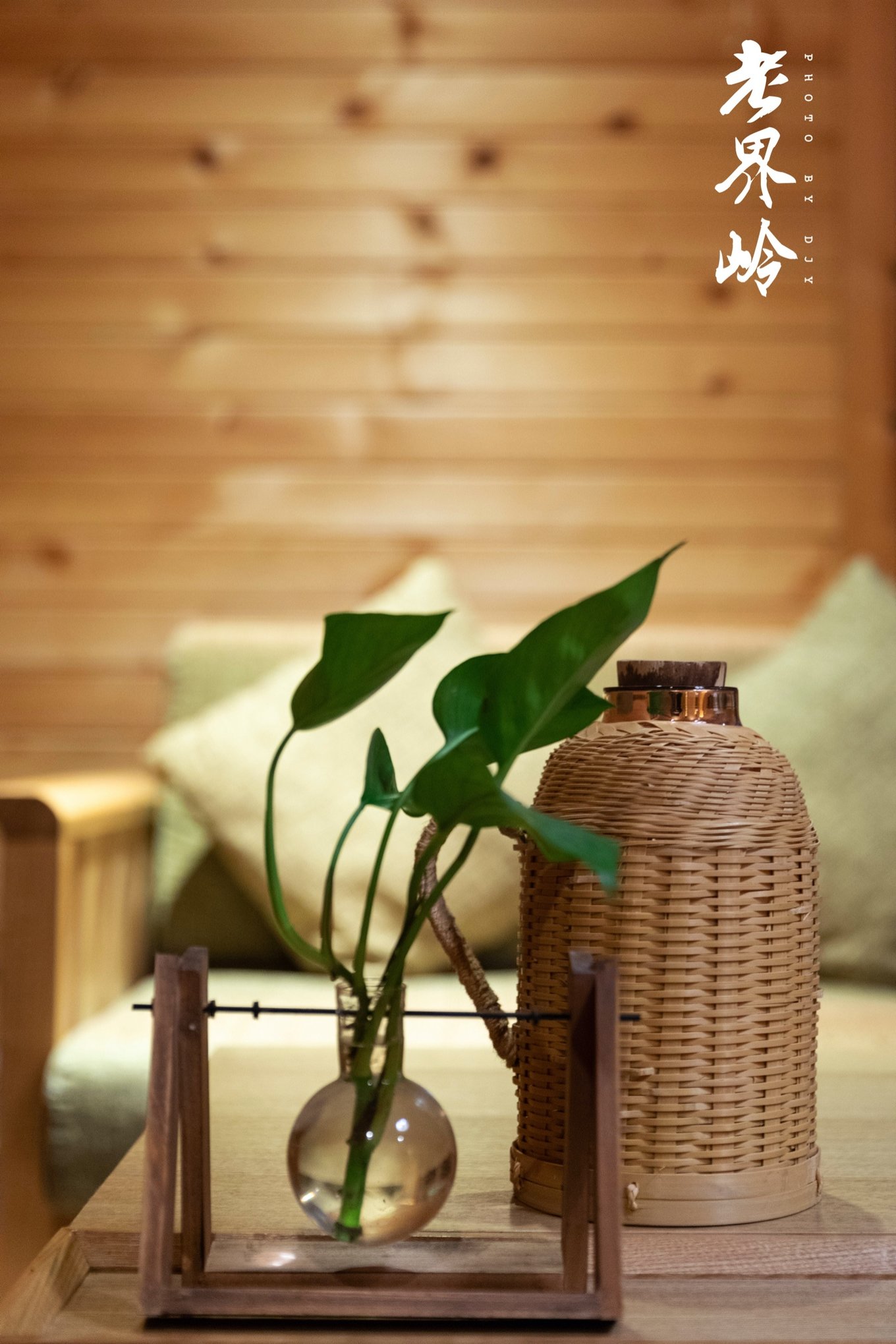 游览老界岭的感悟,河南老界岭景区