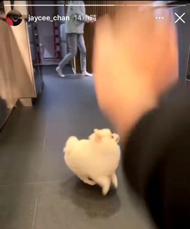 成龙宣传电影腰伤,成龙腰伤复发走路图片