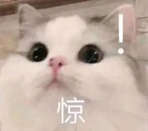 新手上路必看事故,谨慎驾驶揭秘安全注意事项