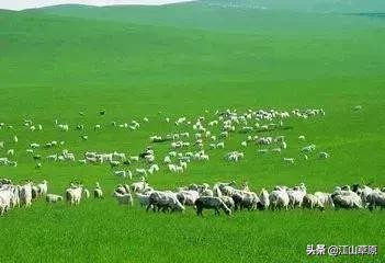 雄起在路上的视频,鄂尔多斯的路上