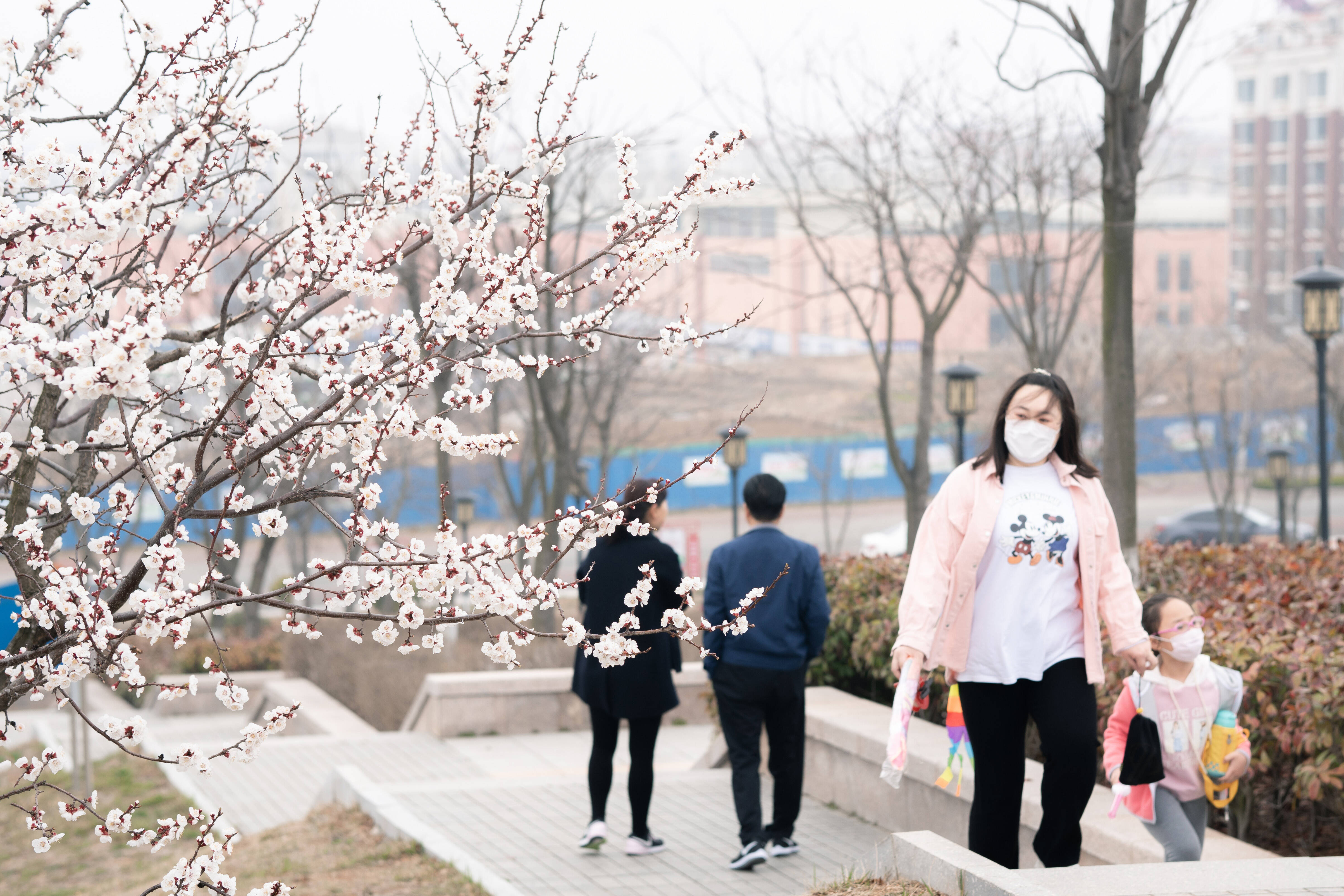 航拍乳山美景视频,乳山的美景