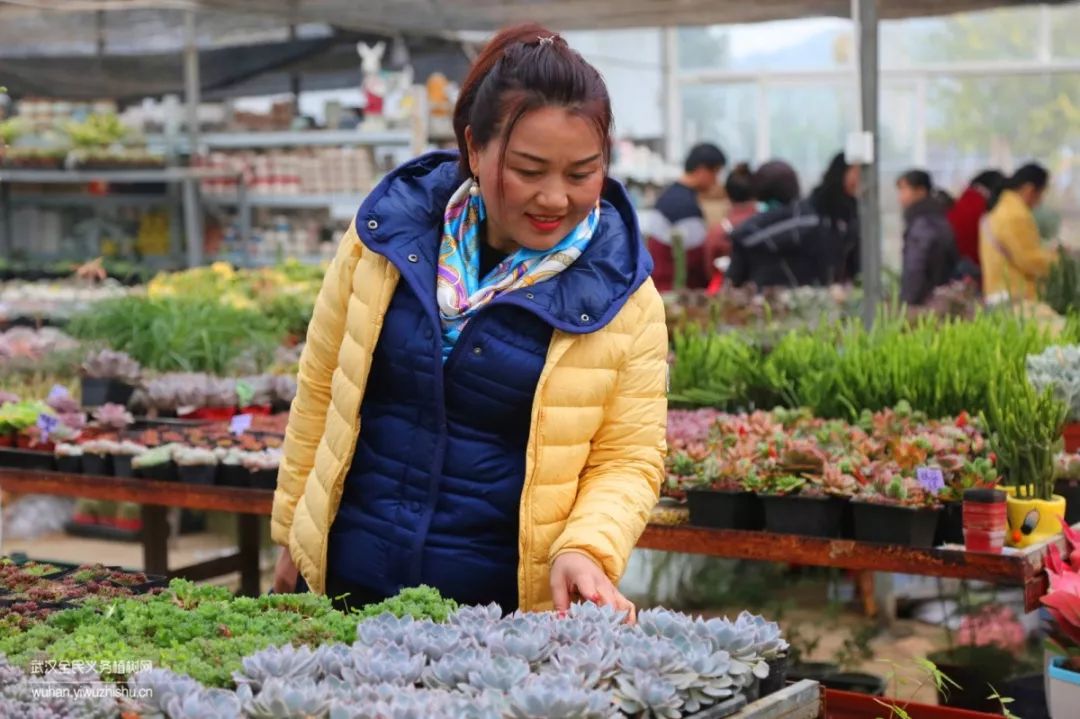 园艺沙龙|前方高能！一大波人相约逛花市，究竟淘了些啥？
