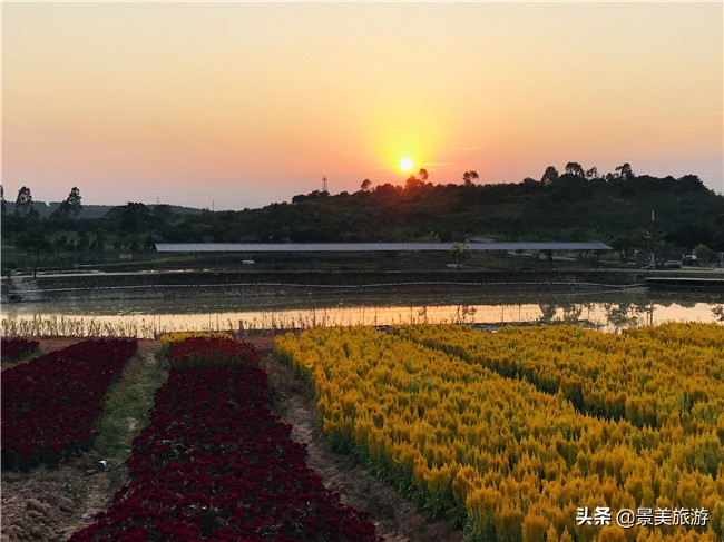 花都区美林湖度假区,花都美林湖风景