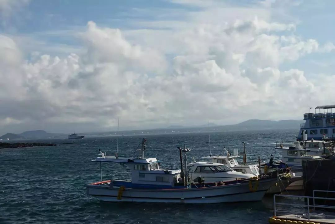 去济州岛吃海鲜贵吗,去韩国吃炸鸡多少钱
