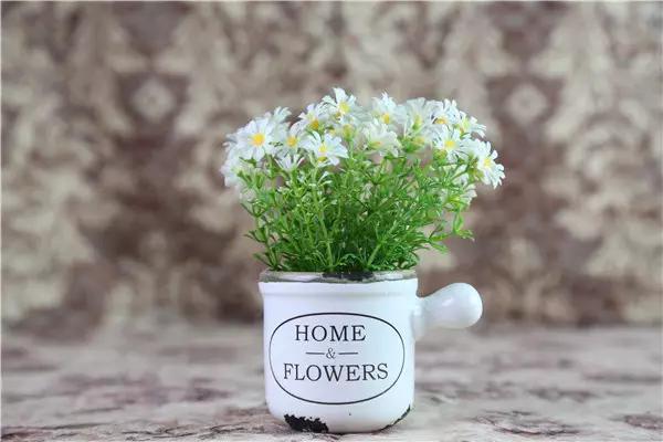 家里花瓶插花放点什么,创意养花花瓶