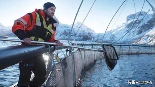 挪威怎么申请入欧,挪威申请入欧