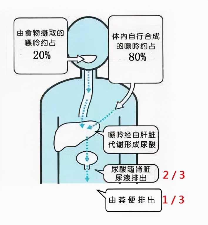 27岁抽血检查说尿酸有点高怎么办,尿酸接近正常最高值430怎么办
