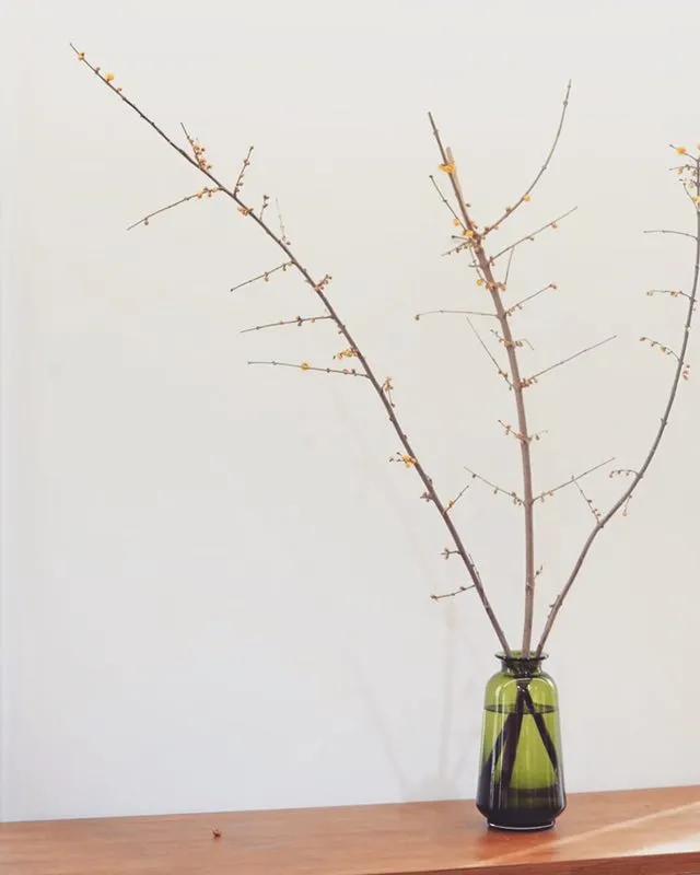 植物护肤的意义与价值,植物护肤品有什么用途