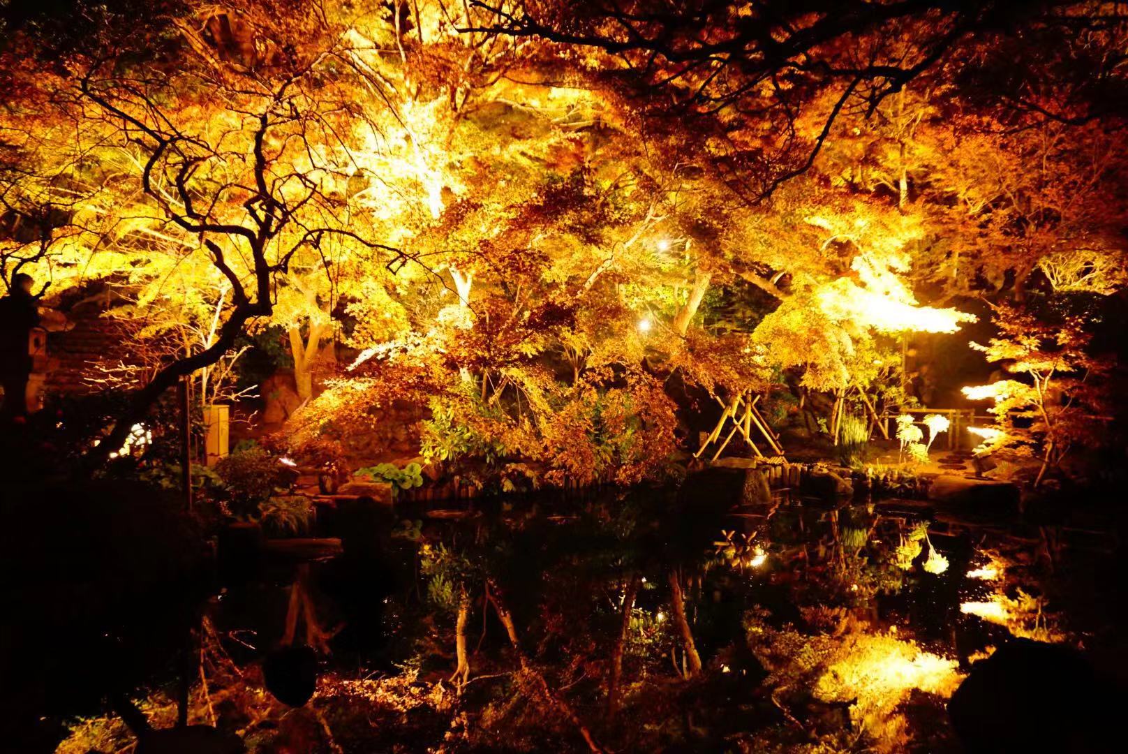 在日本黑工护照过期了怎么回国,日本留学生护照丢失可以回国吗