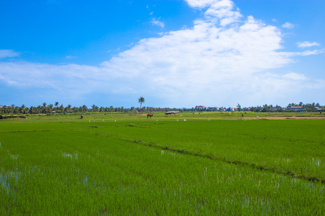 华人在越南经济地位,华人在越南的历史