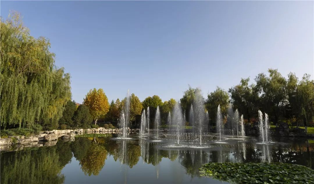 思源学院美景照片,西安思源学院秋景色