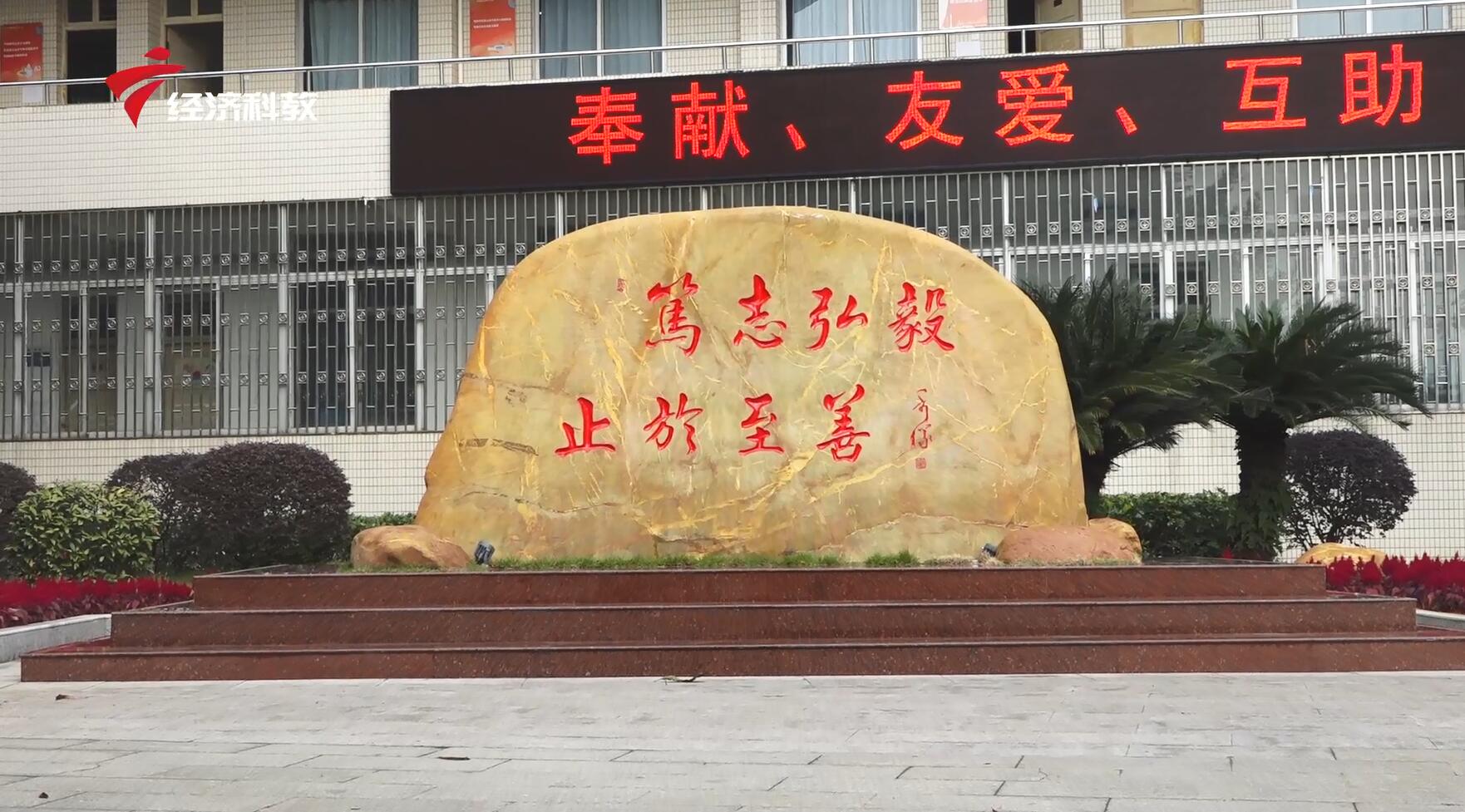 广东新焦点栏目,广东电视台新闻直播回放